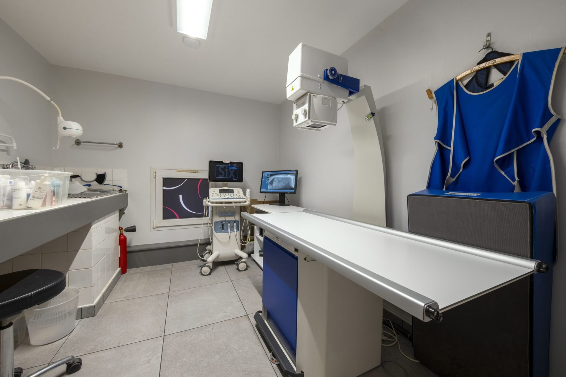 cliniqueveterinairesaintmartin cognac 14