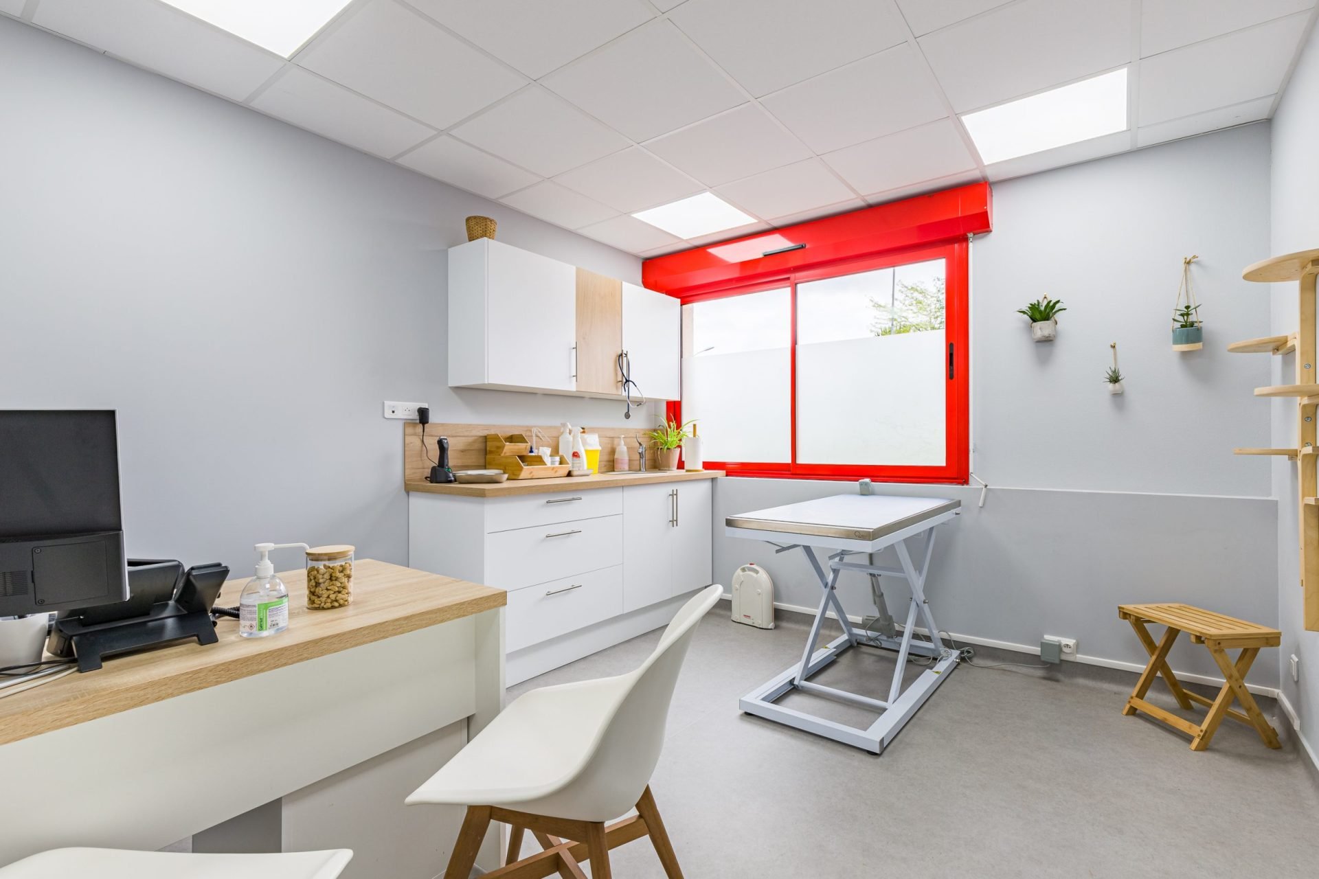cliniqueveterinairevet amboise amboise 17