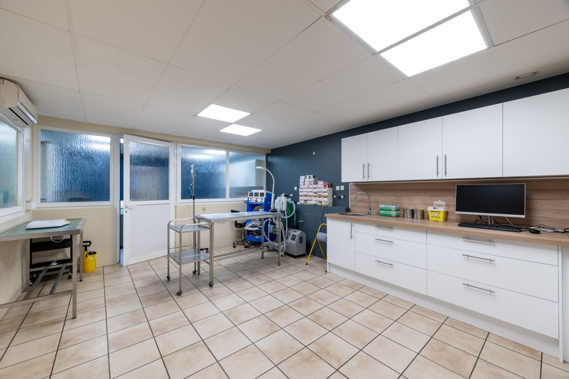 cliniqueveterinairevethautsdeflandre dunkerque 10