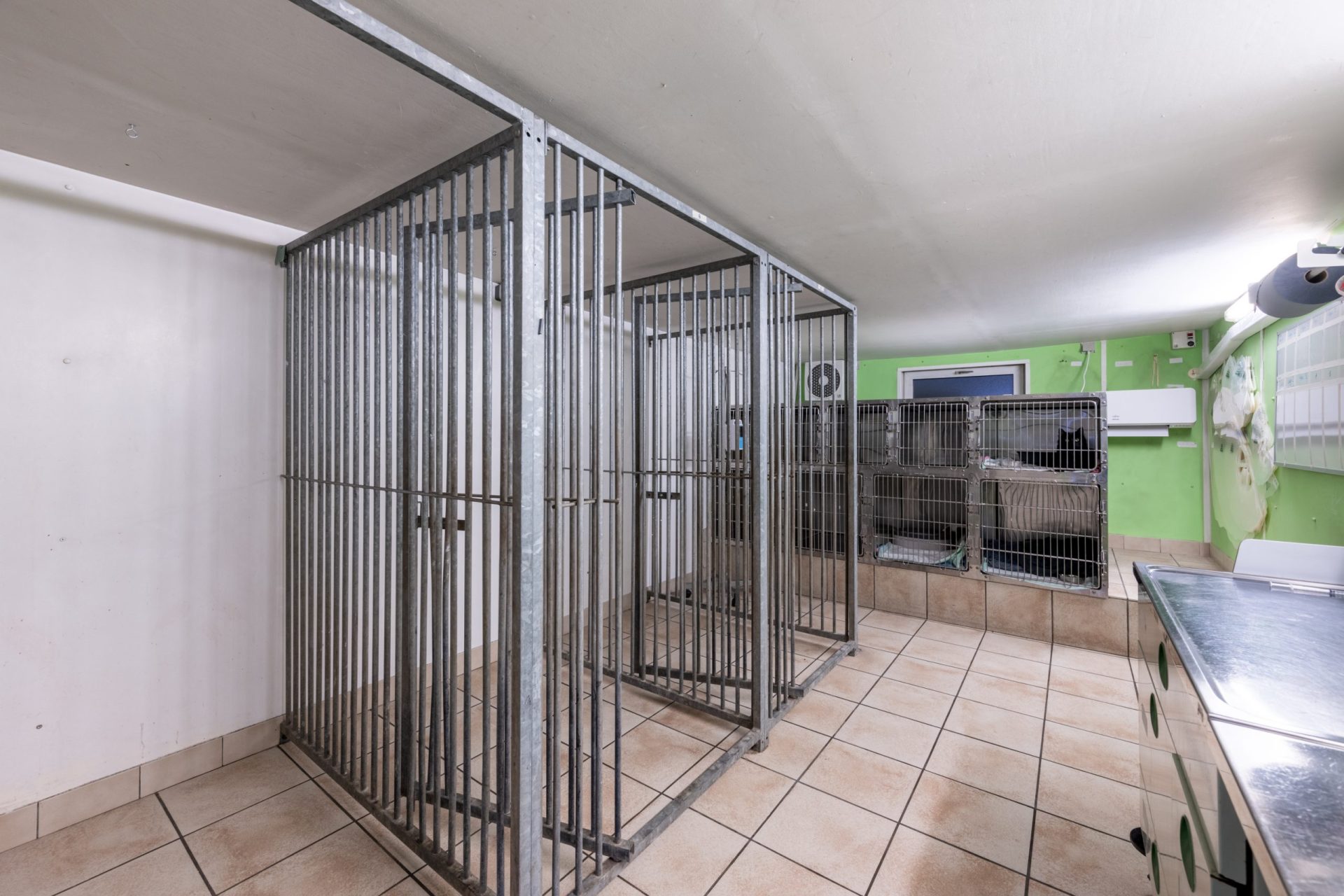 cliniqueveterinairevethautsdeflandre dunkerque 15