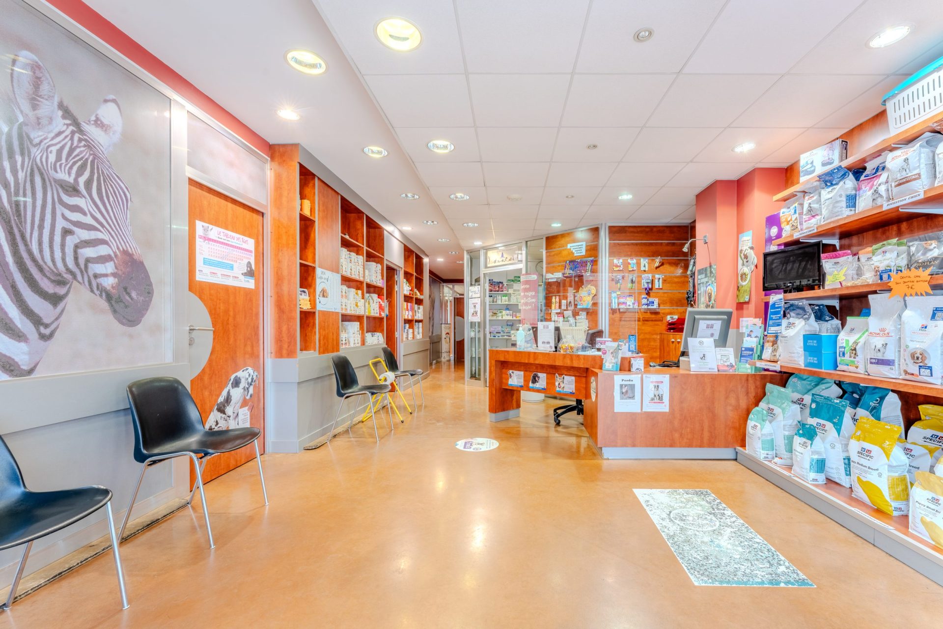 accueil clinique vétérinaire