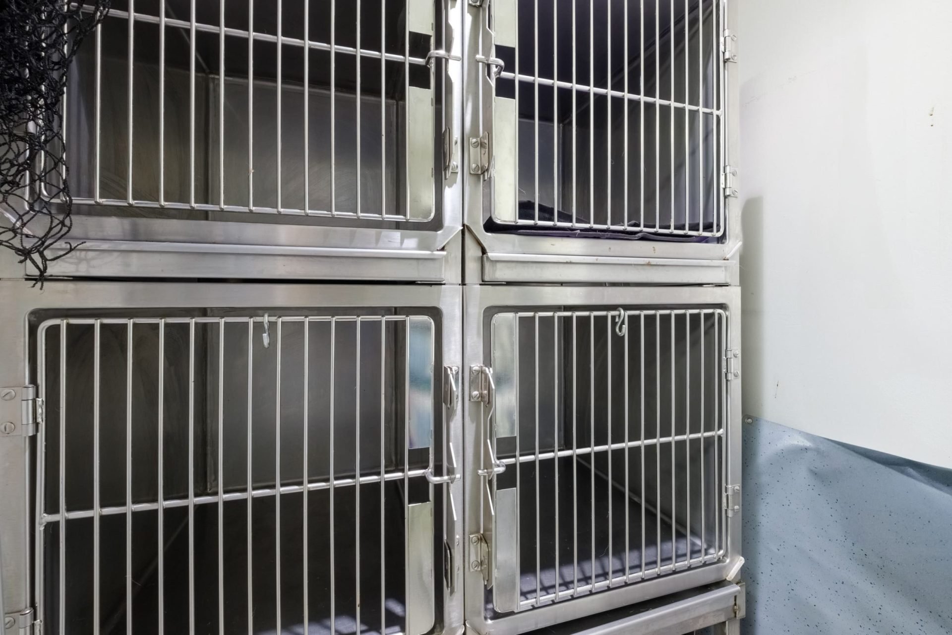 Cage d'hospitalisation chien et chat