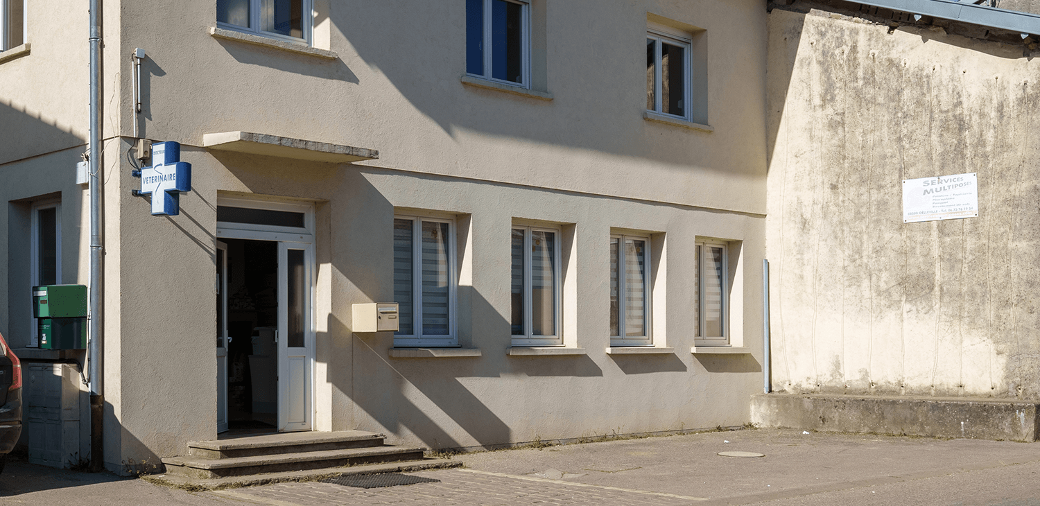 vicherey mon véto
