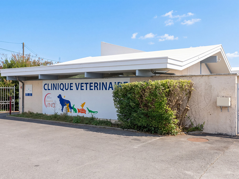 Clinique Vétérinaire Léonard de Vinci