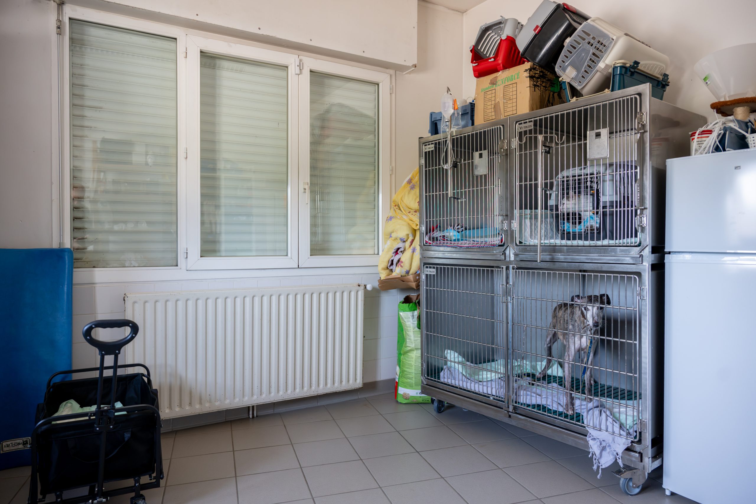 monveto saint denis de pile 17