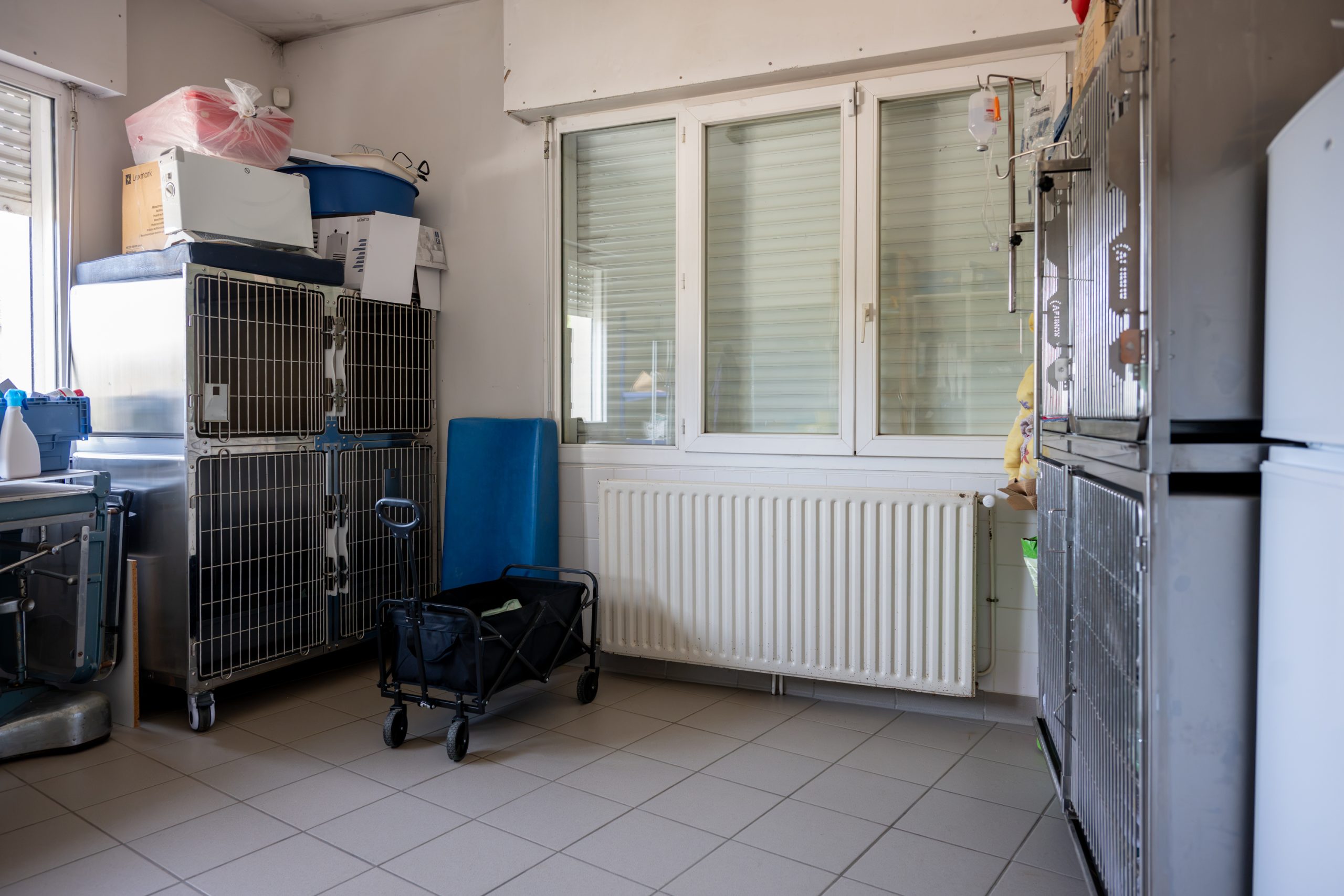 monveto saint denis de pile 18