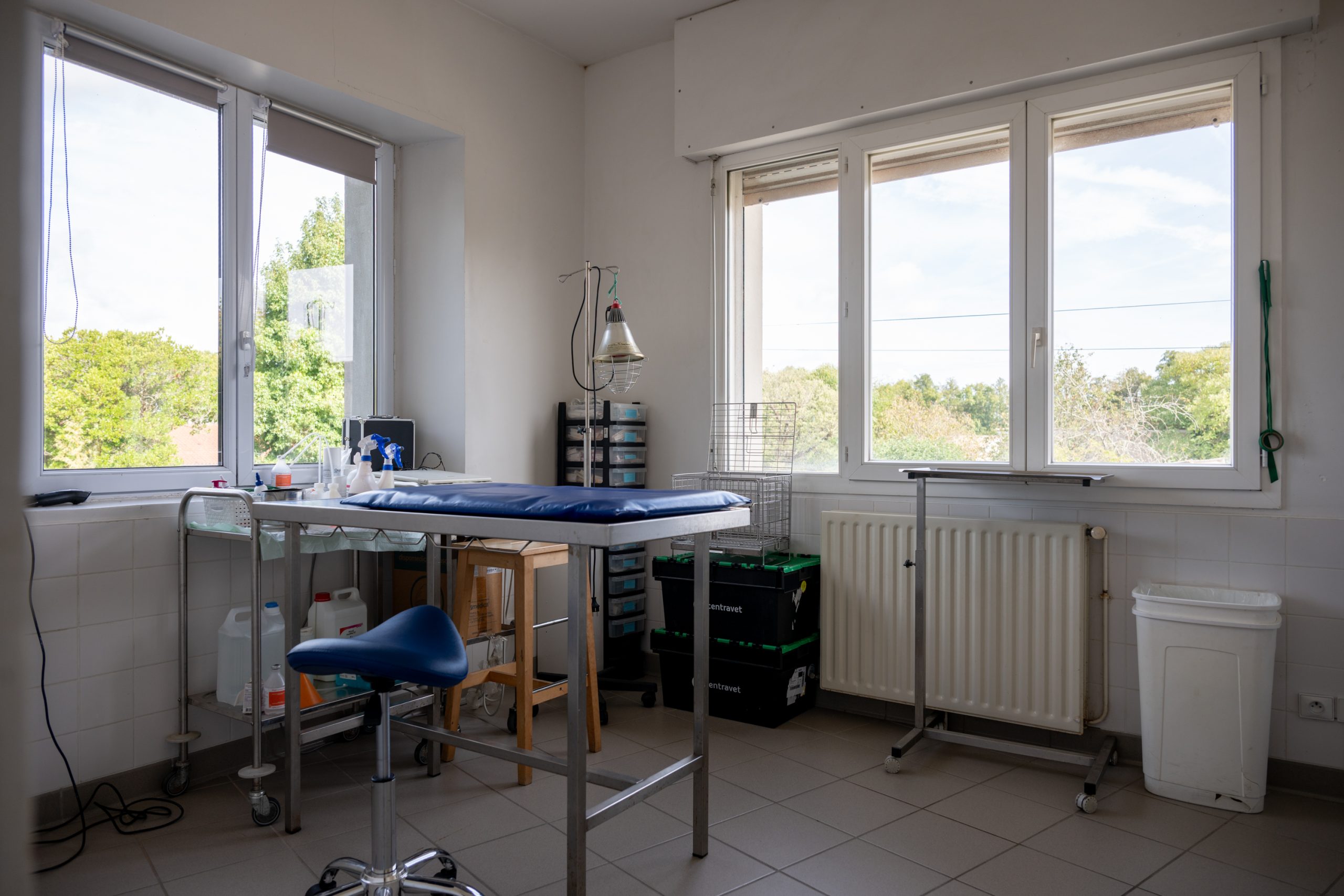 monveto saint denis de pile 19
