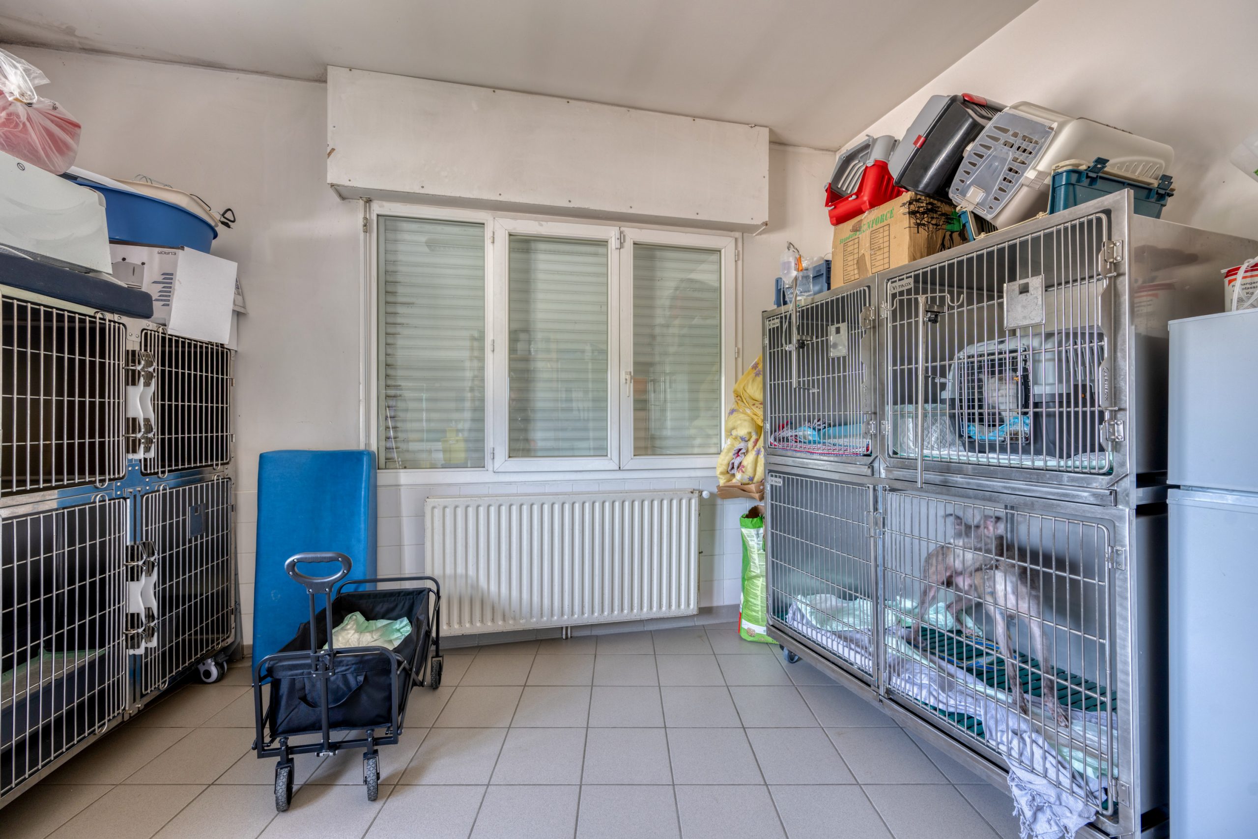 monveto saint denis de pile 3