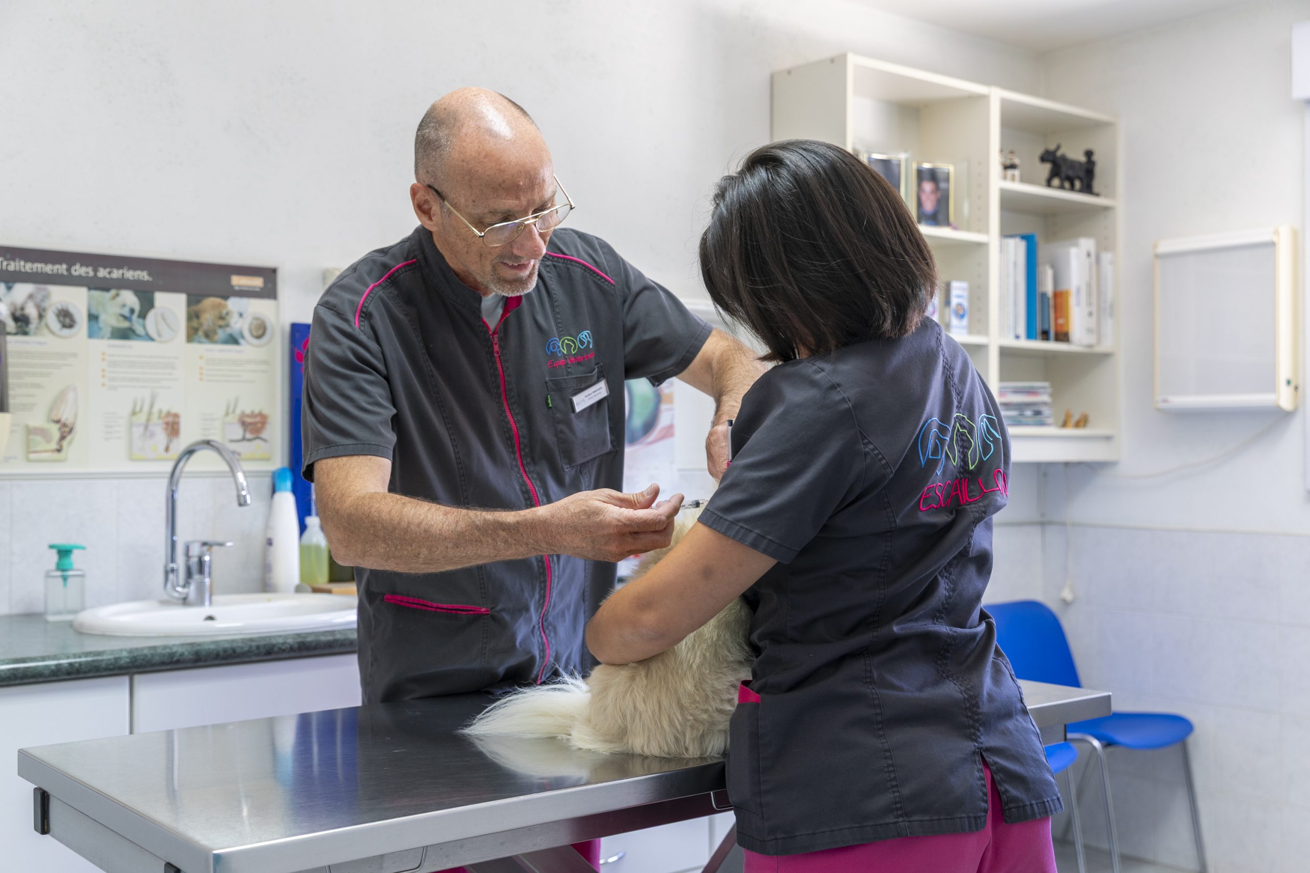 clinique vétérinaire de l'escaillon martigues 14