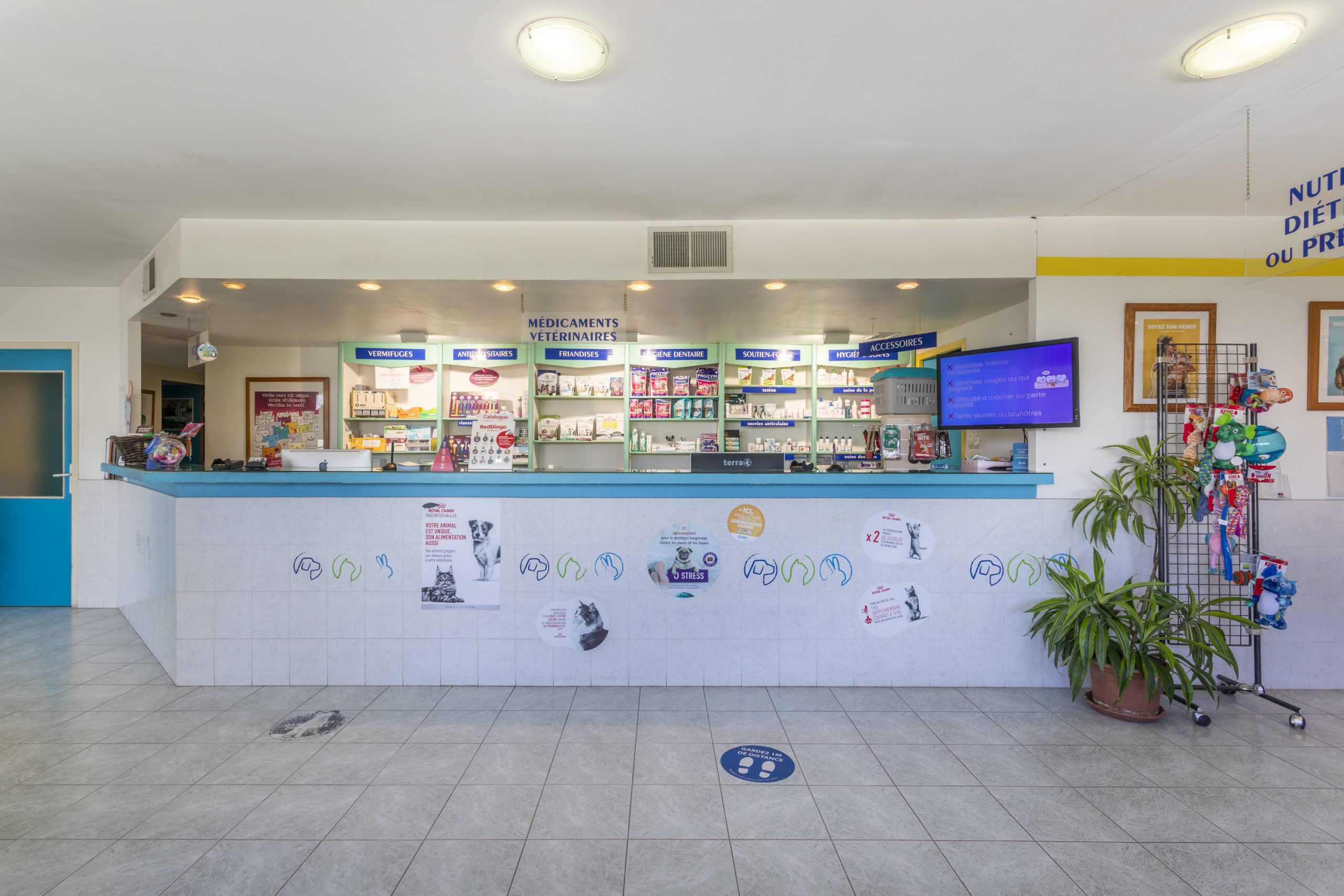 clinique vétérinaire de l'escaillon martigues 18