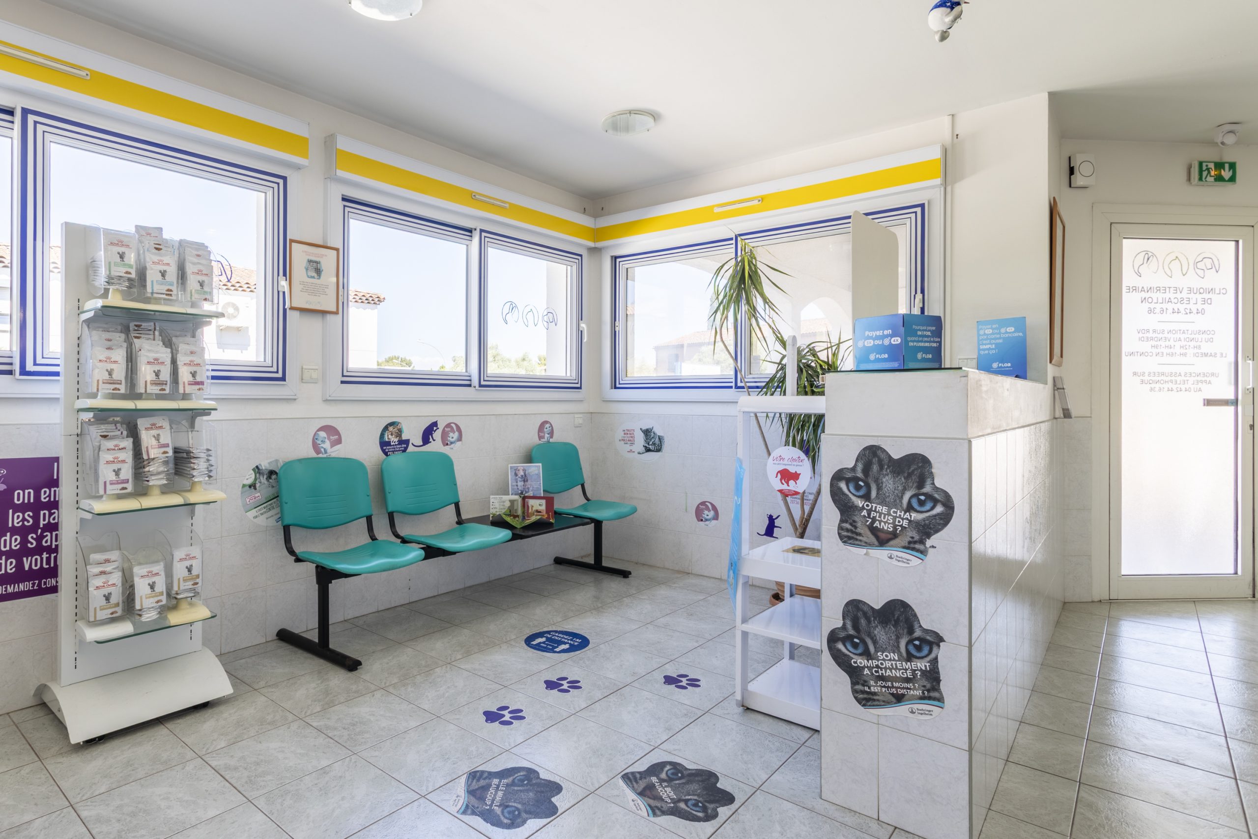 clinique vétérinaire de l'escaillon martigues 19