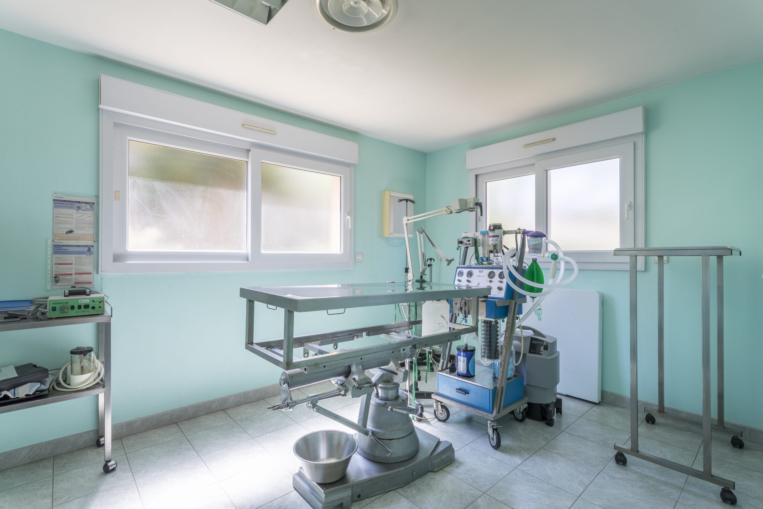 clinique vétérinaire de l'escaillon martigues 1jpg