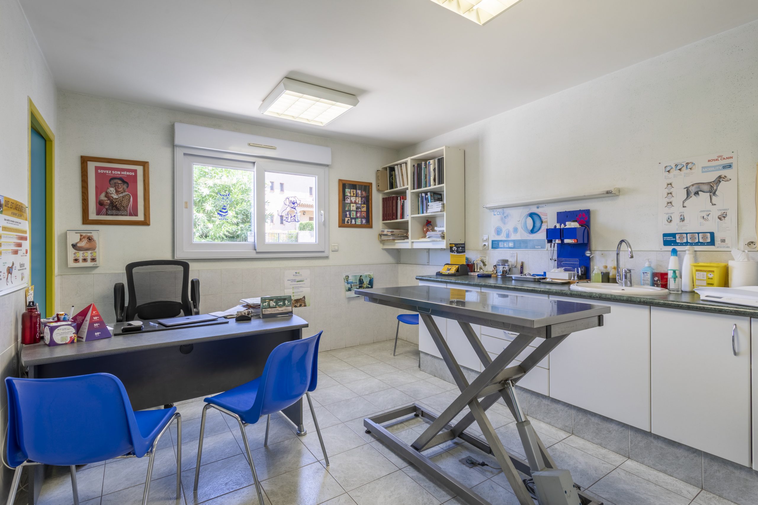clinique vétérinaire de l'escaillon martigues 2