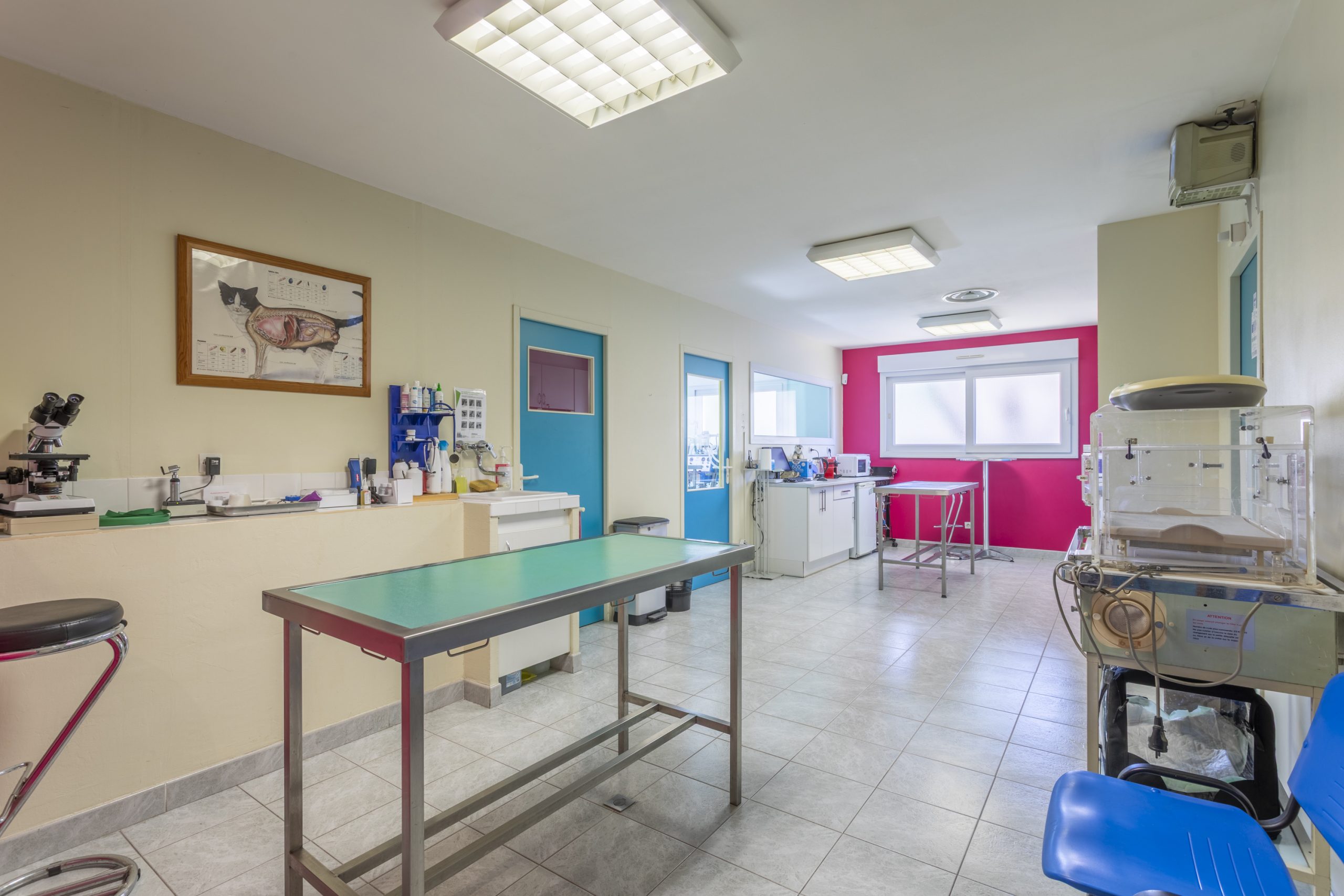 clinique vétérinaire de l'escaillon martigues 5