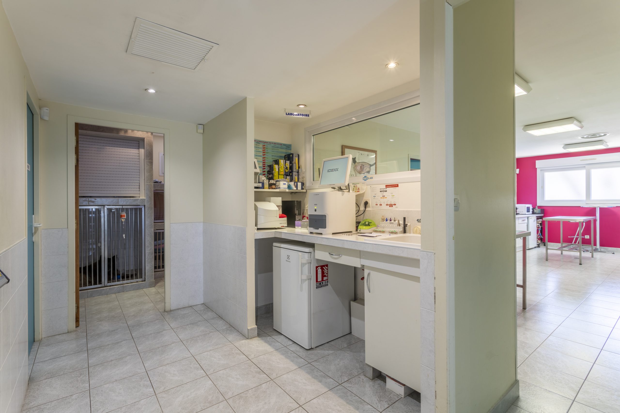 clinique vétérinaire de l'escaillon martigues 7
