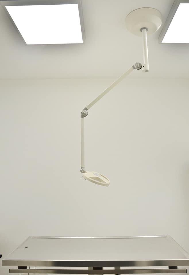 img 5866