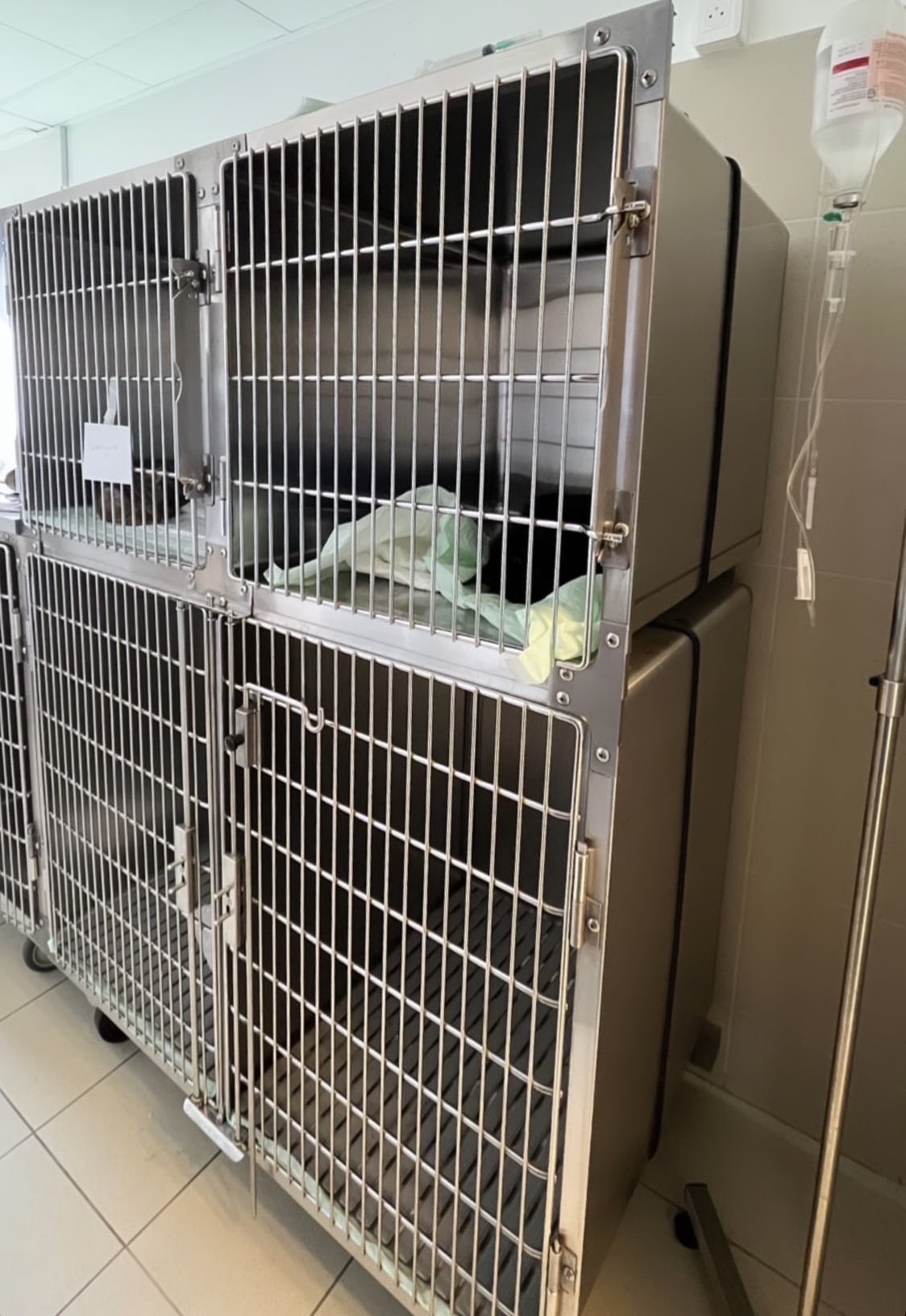 Cabinet Vétérinaire des Crayères - Pogny (51240)