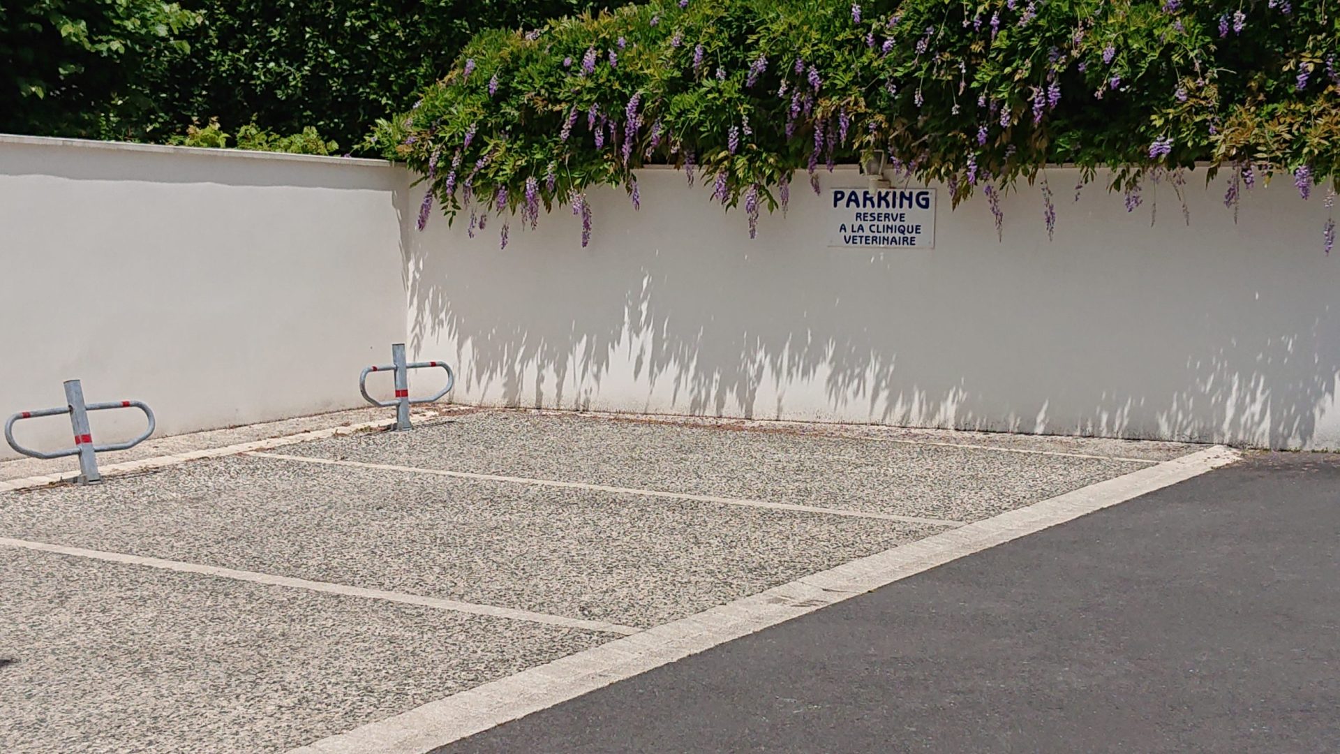 photo parking