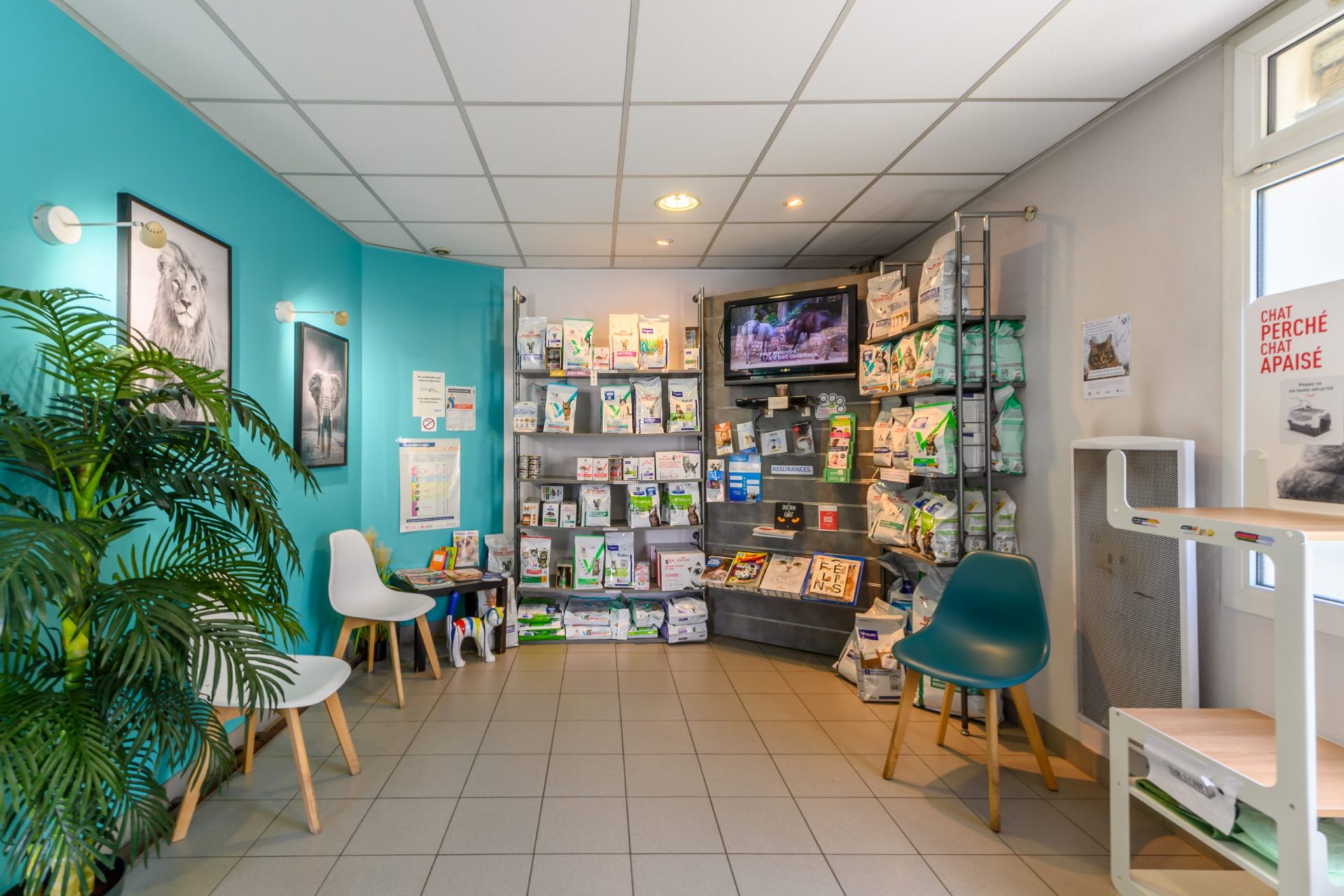  bagneux 22
