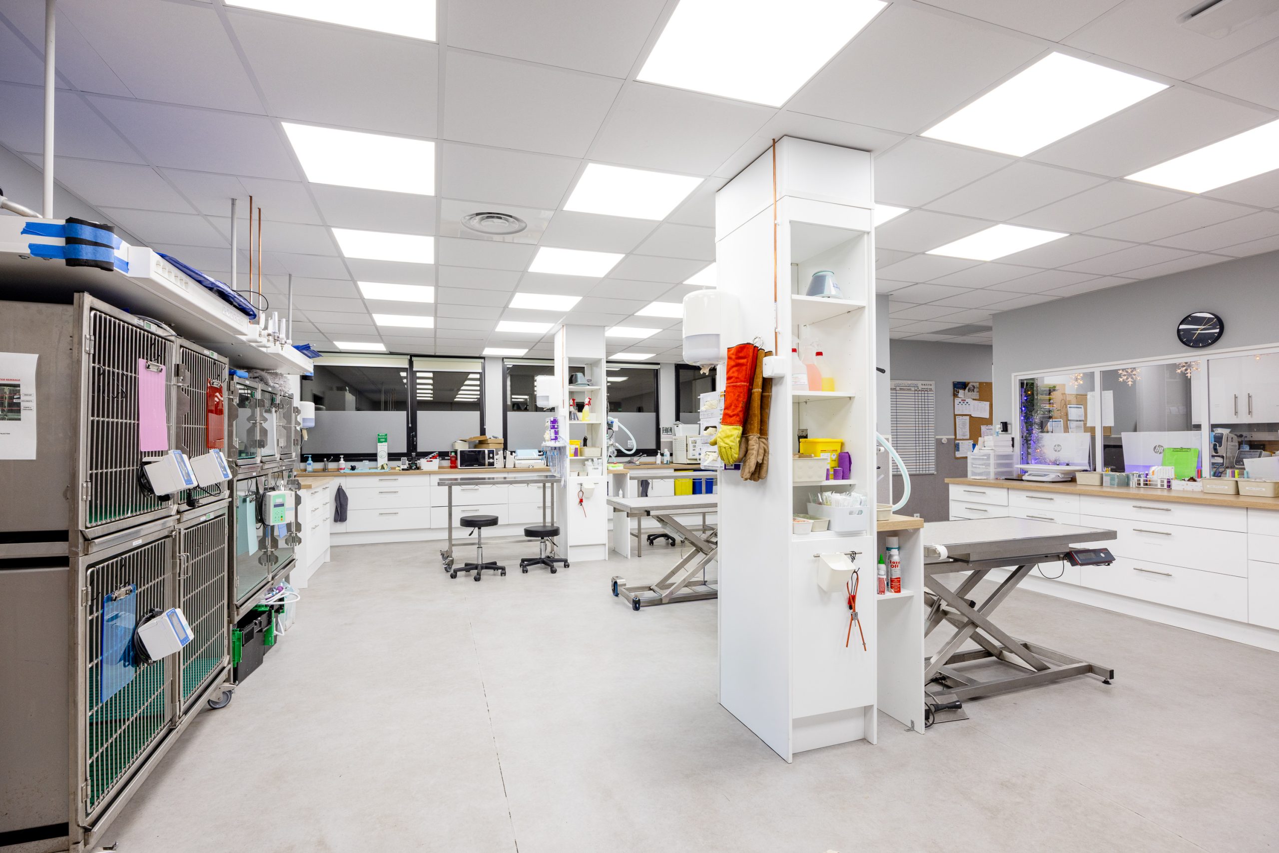 Clinique Vétérinaires 2 Toute Urgence Rennes 5