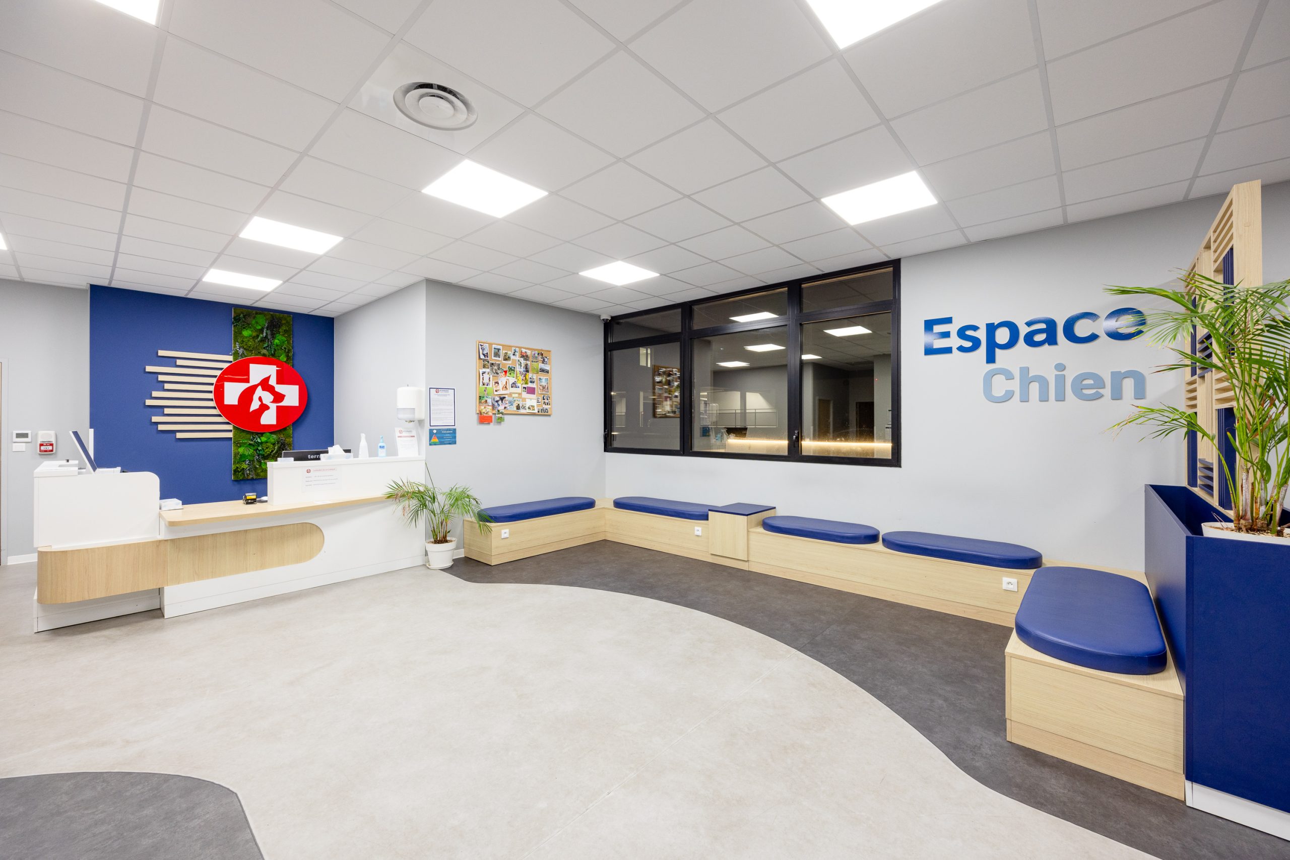 Clinique Vétérinaires 2 Toute Urgence Rennes 1