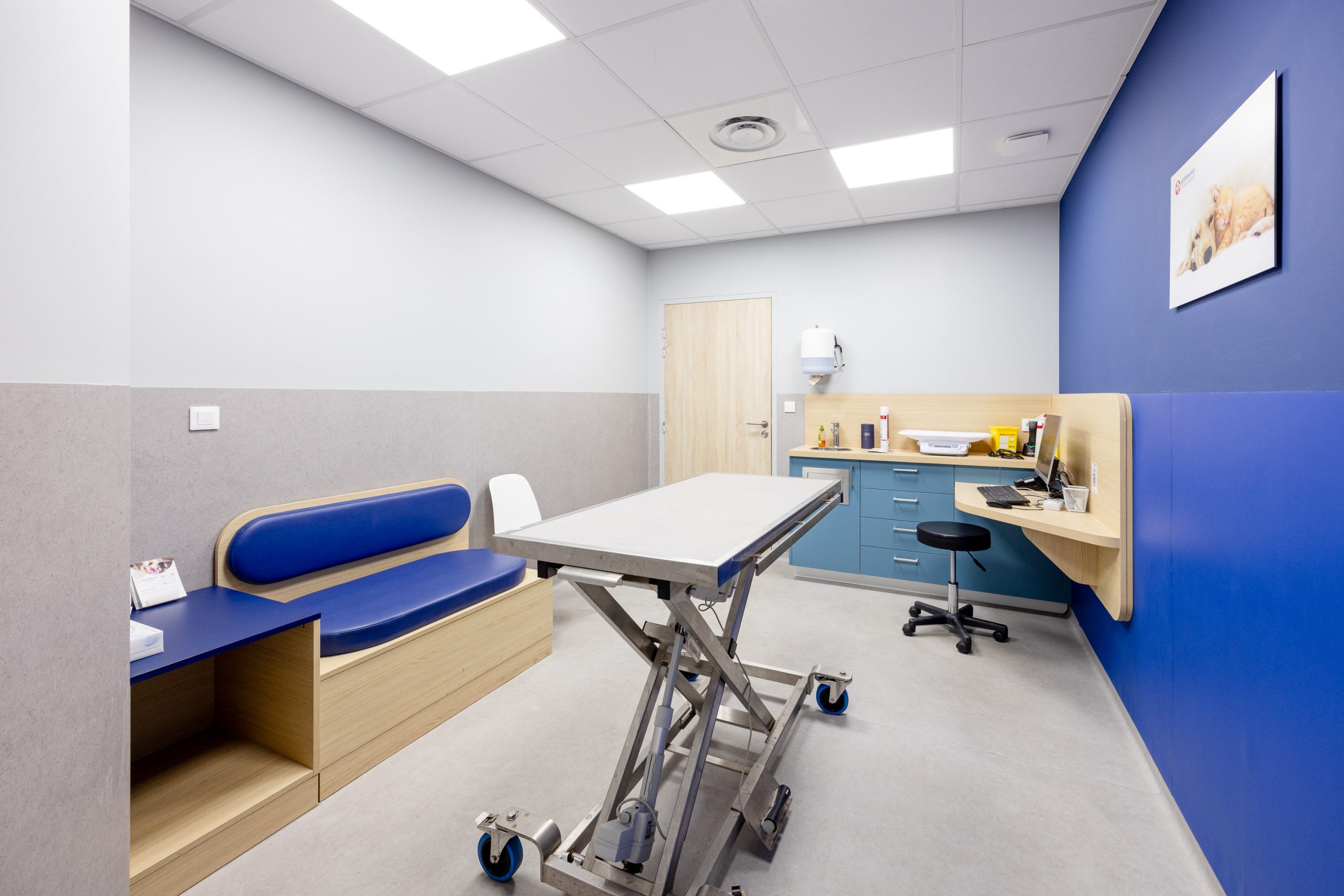 Clinique Vétérinaires 2 Toute Urgence Rennes 4