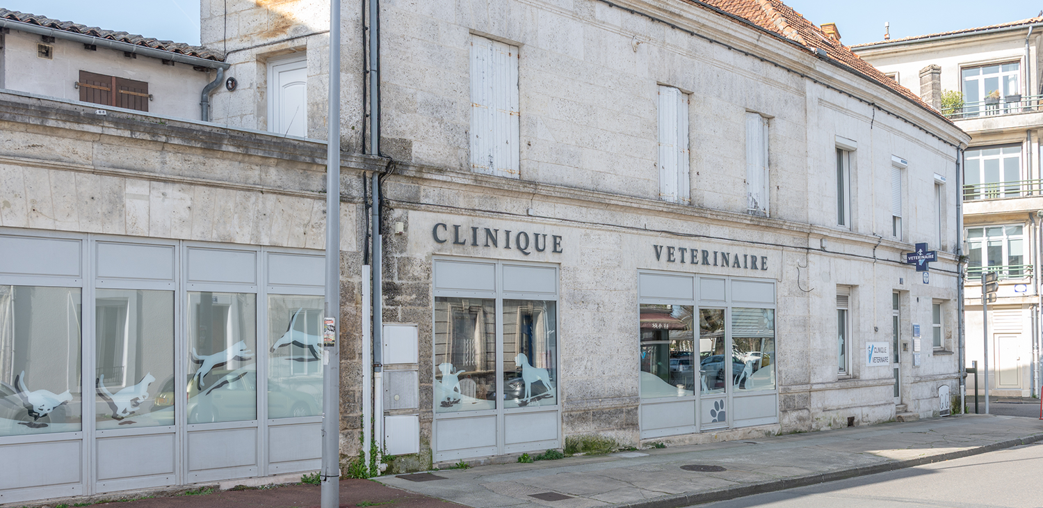Clinique Vétérinaire Victor Hugo Angoulême