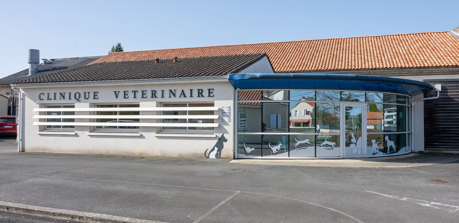 Clinique Vétérinaire de L&rsquo;Isle d&rsquo;Espagnac