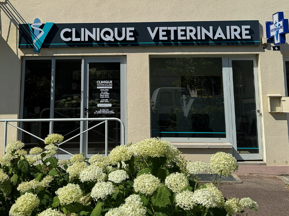 Clinique Vétérinaire du Florimont