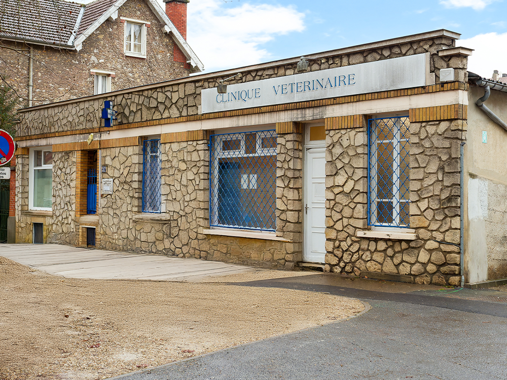 Clinique Vétérinaire Saint Jean