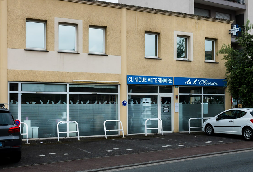 Clinique Vétérinaire de l’Olivier