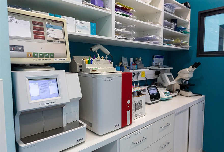 laboratoire
