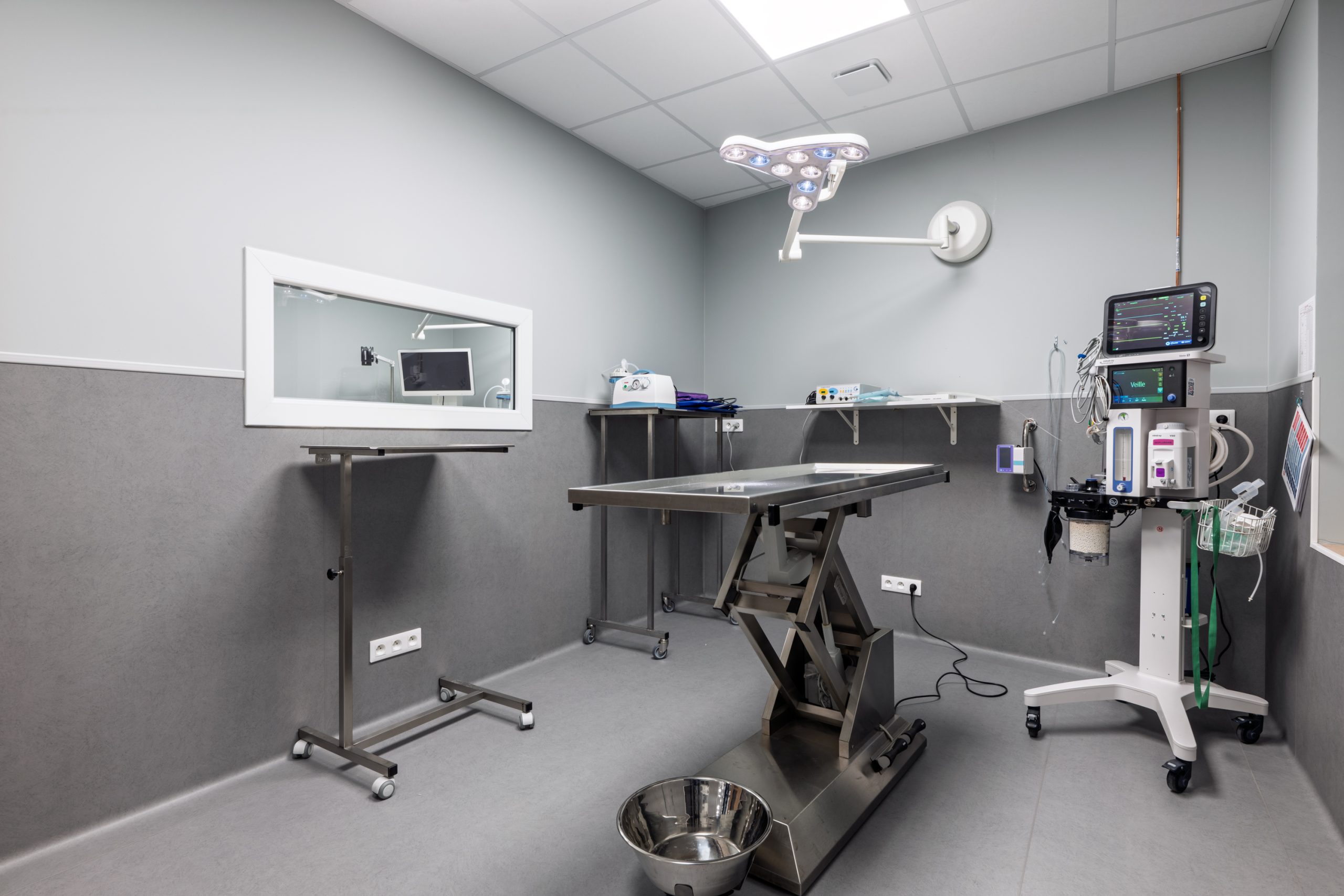 Clinique Vétérinaires 2 Toute Urgence Lille 8