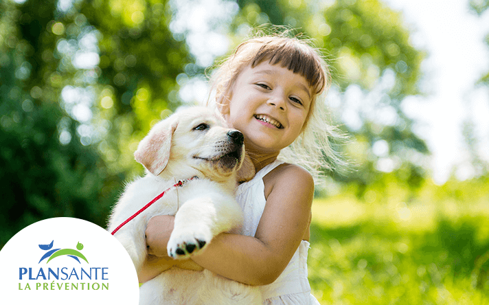 monveto plansante.png