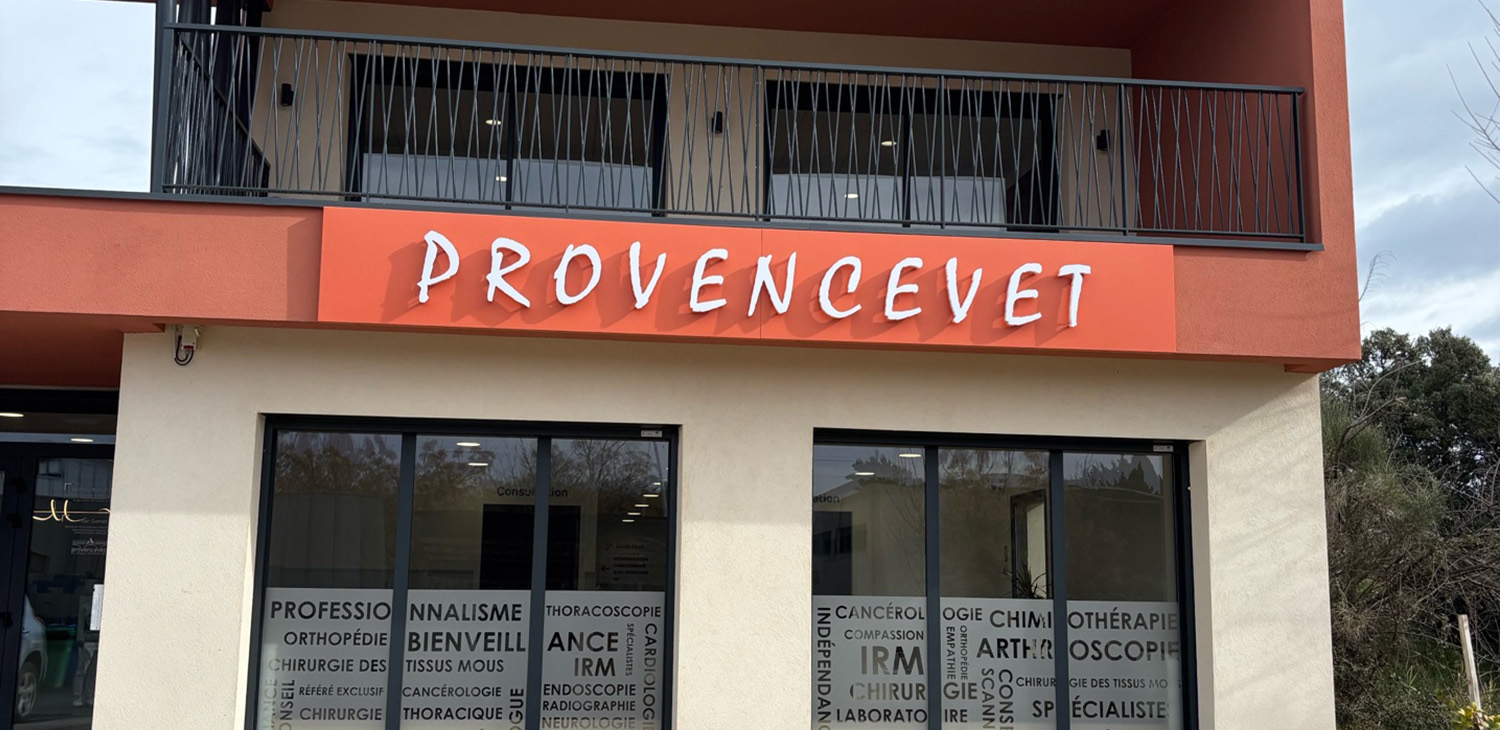 Vétérinaires 2 Toute Urgence – Avignon