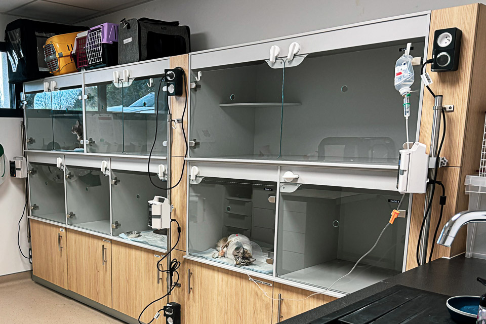 chatterie urgence veterinaire avignon