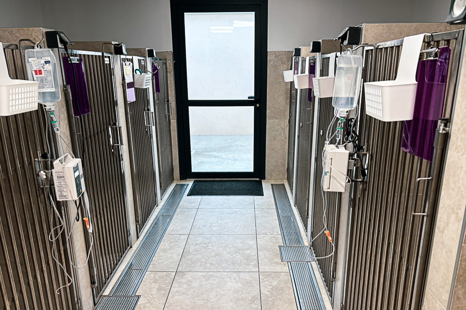 chenil urgence veterinaire avignon