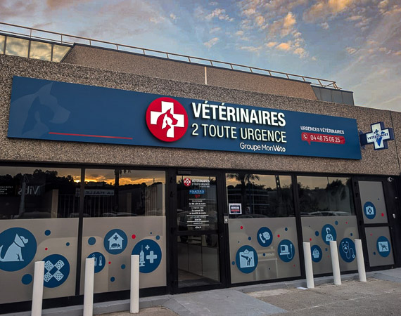Vétérinaires 2 Toute Urgence – Nice